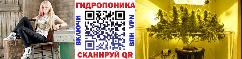 Бошки марихуана конопля  Якутск 